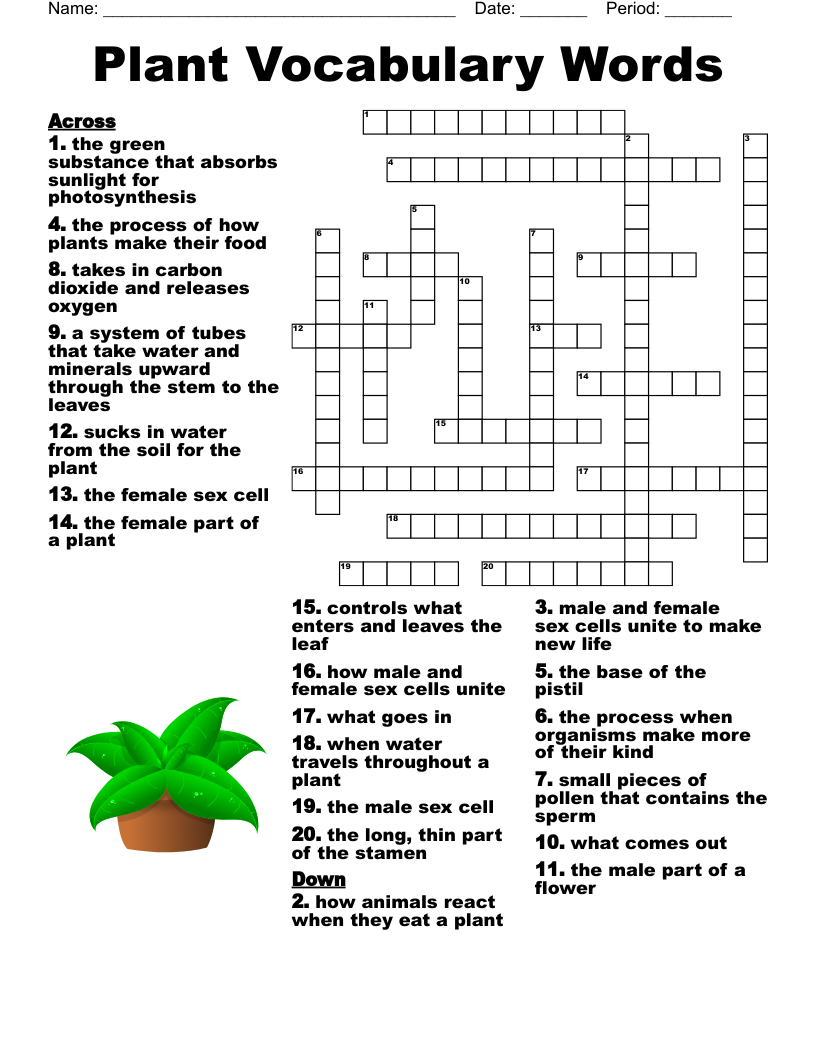 Male Flower Part Crossword Puzzle Clue Best Flower Site