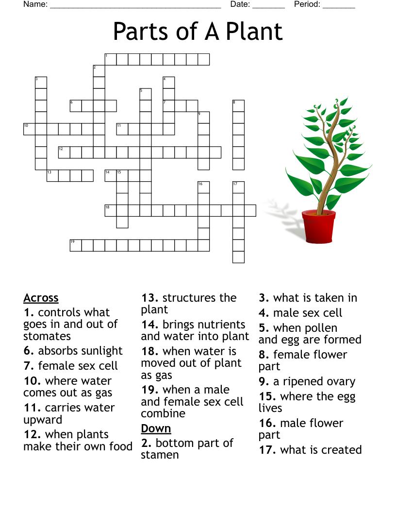 Male Flower Part Crossword Puzzle Clue Best Flower Site Male Flower Part Crossword Puzzle Clue Best Flower Site