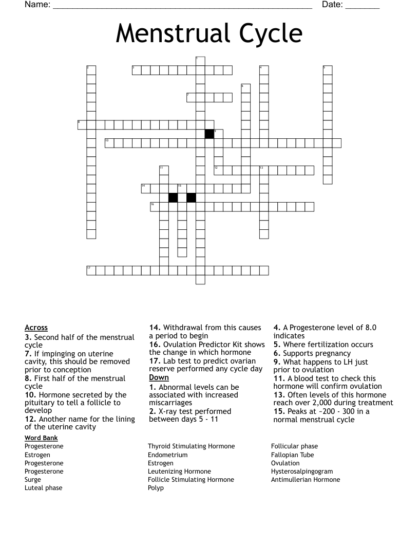 Menstrual Cycle Crossword WordMint