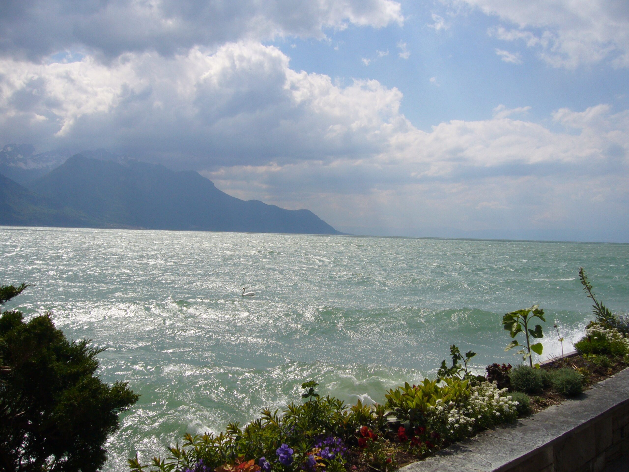 mountain lake crossword clue mountain lake crossword clue