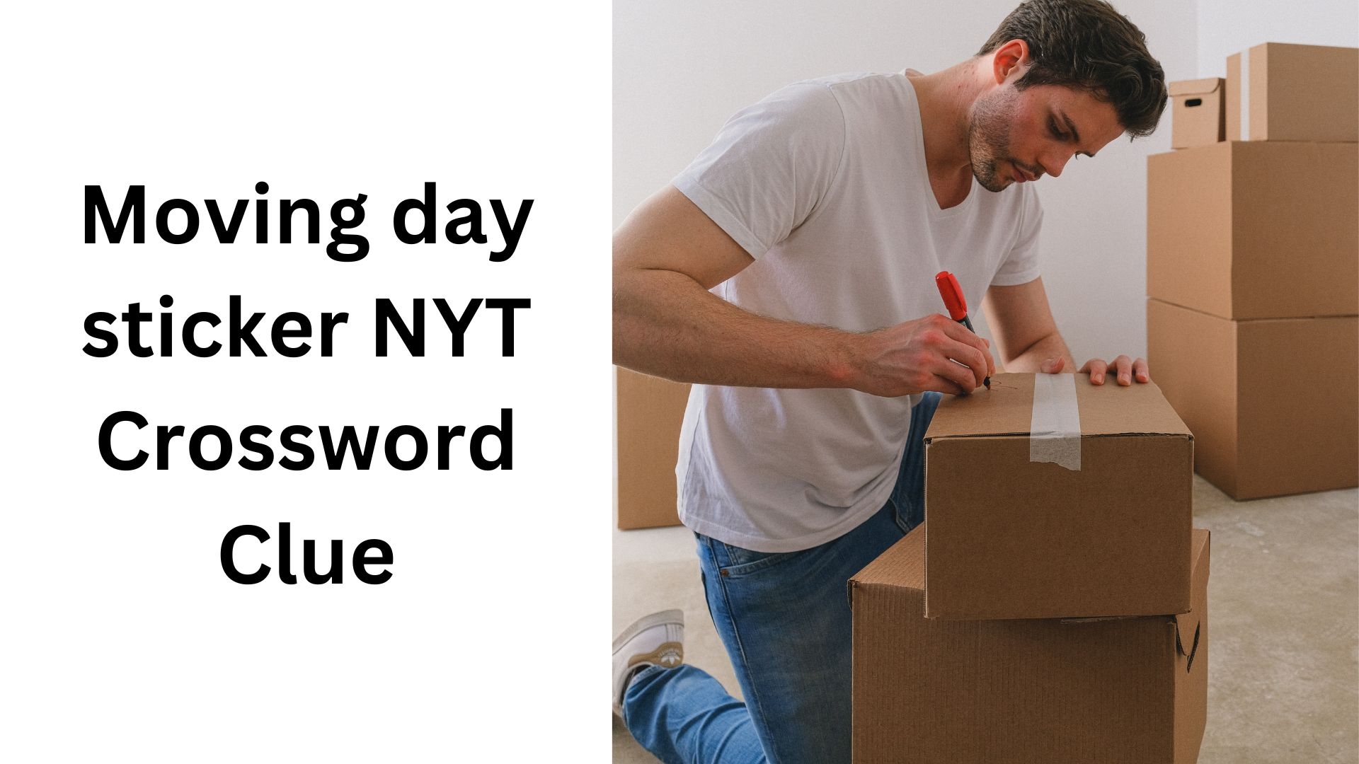 Moving Day Sticker NYT Crossword Clue November 4 2024