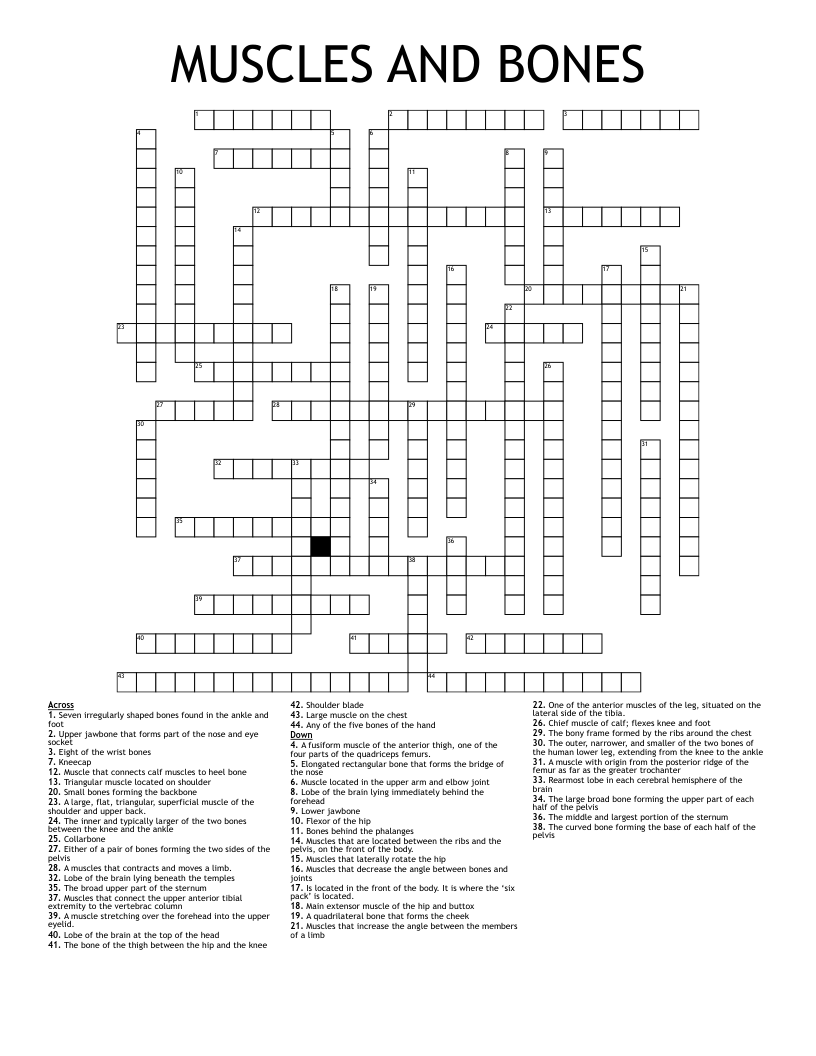 MUSCLES AND BONES Crossword WordMint MUSCLES AND BONES Crossword WordMint