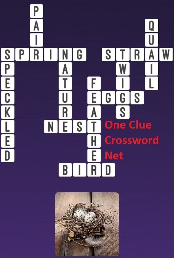 Nest Get Answers For One Clue Crossword Now