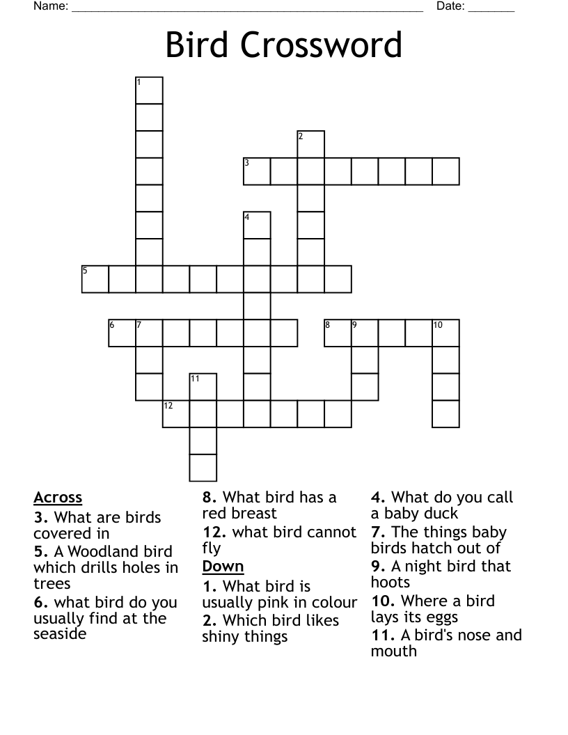 New Zealand Birds Crossword WordMint New Zealand Birds Crossword WordMint