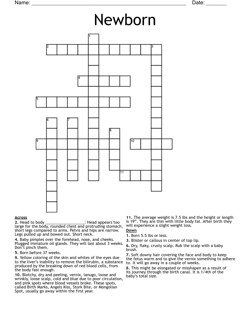 Newborn Crossword WordMint