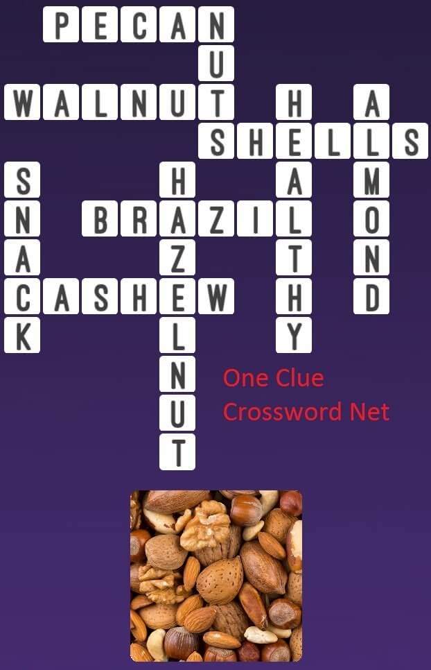 Nuts Get Answers For One Clue Crossword Now