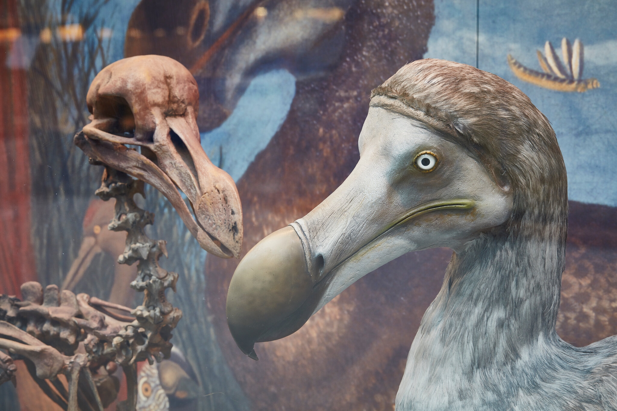 crossword clue extinct birds