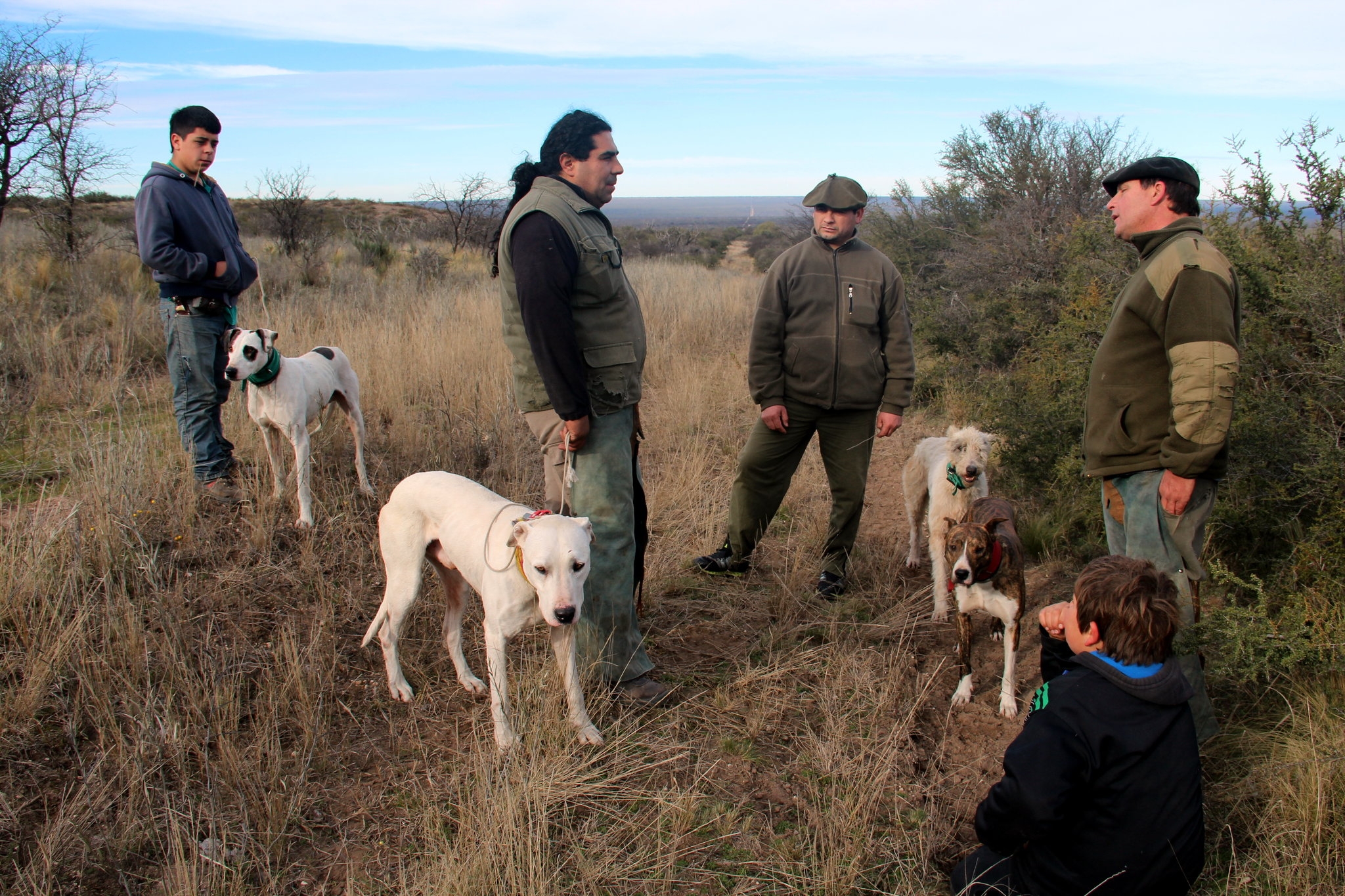 argentine plain crossword