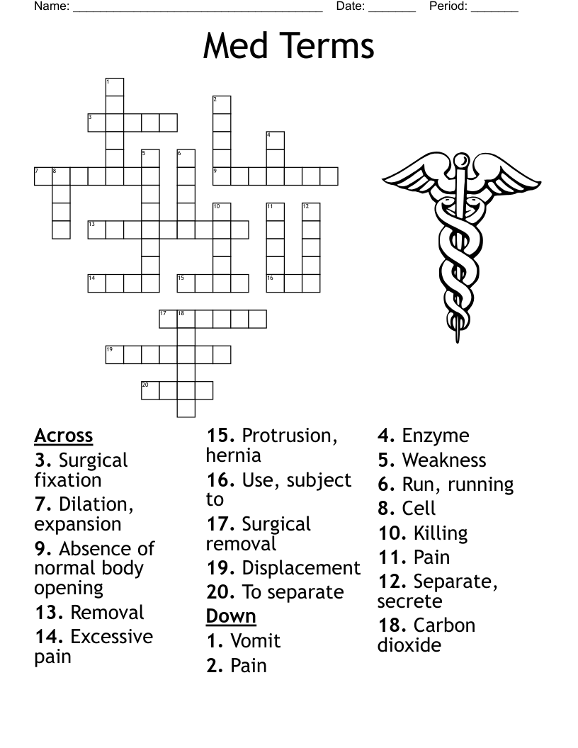 scull crossword clue