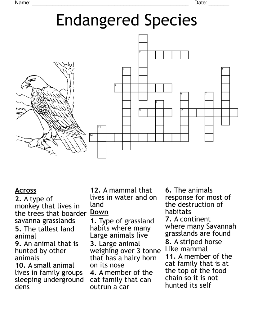 Our Wild Animals Crossword WordMint Our Wild Animals Crossword WordMint