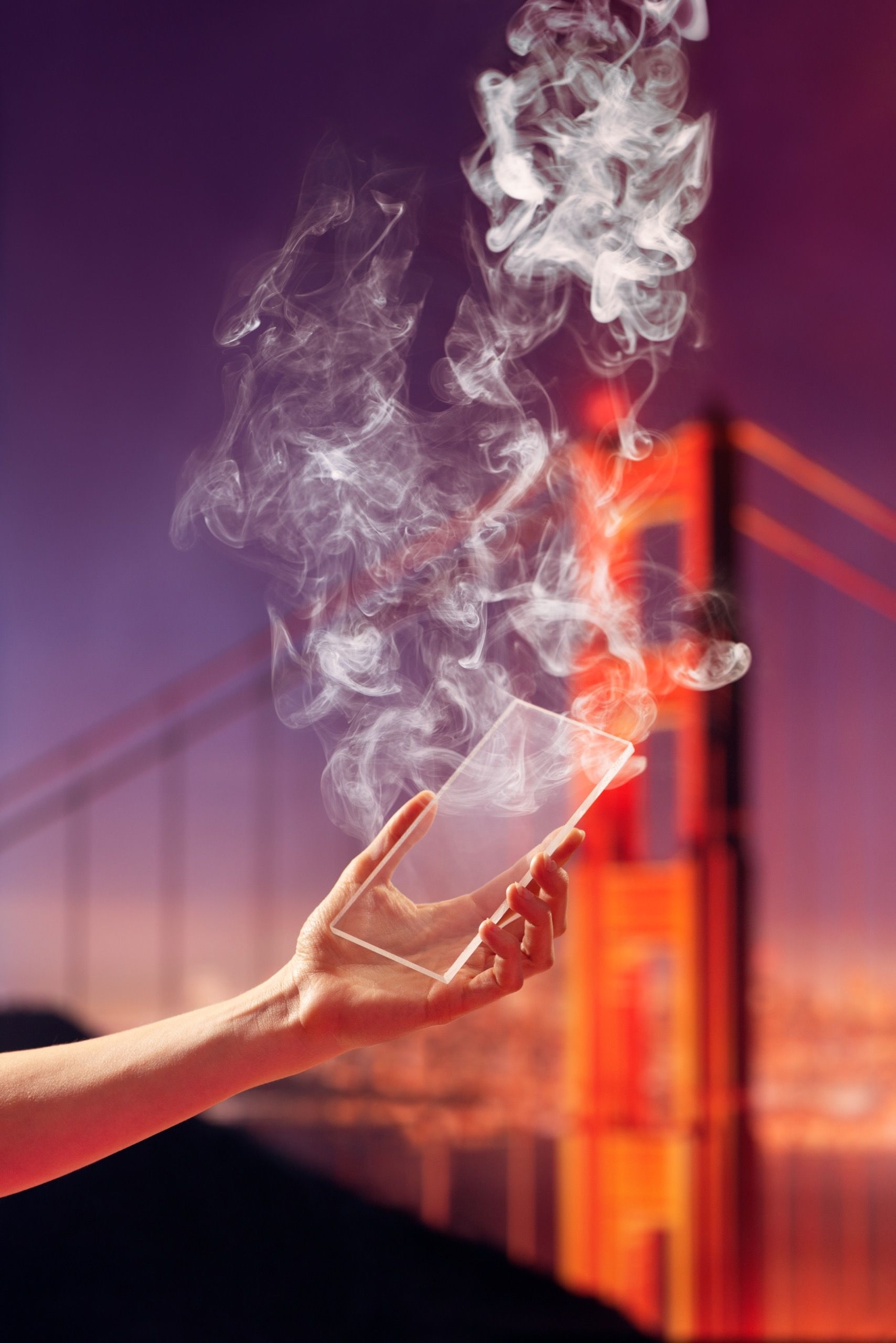 Out There By Kate Folk The New Yorker