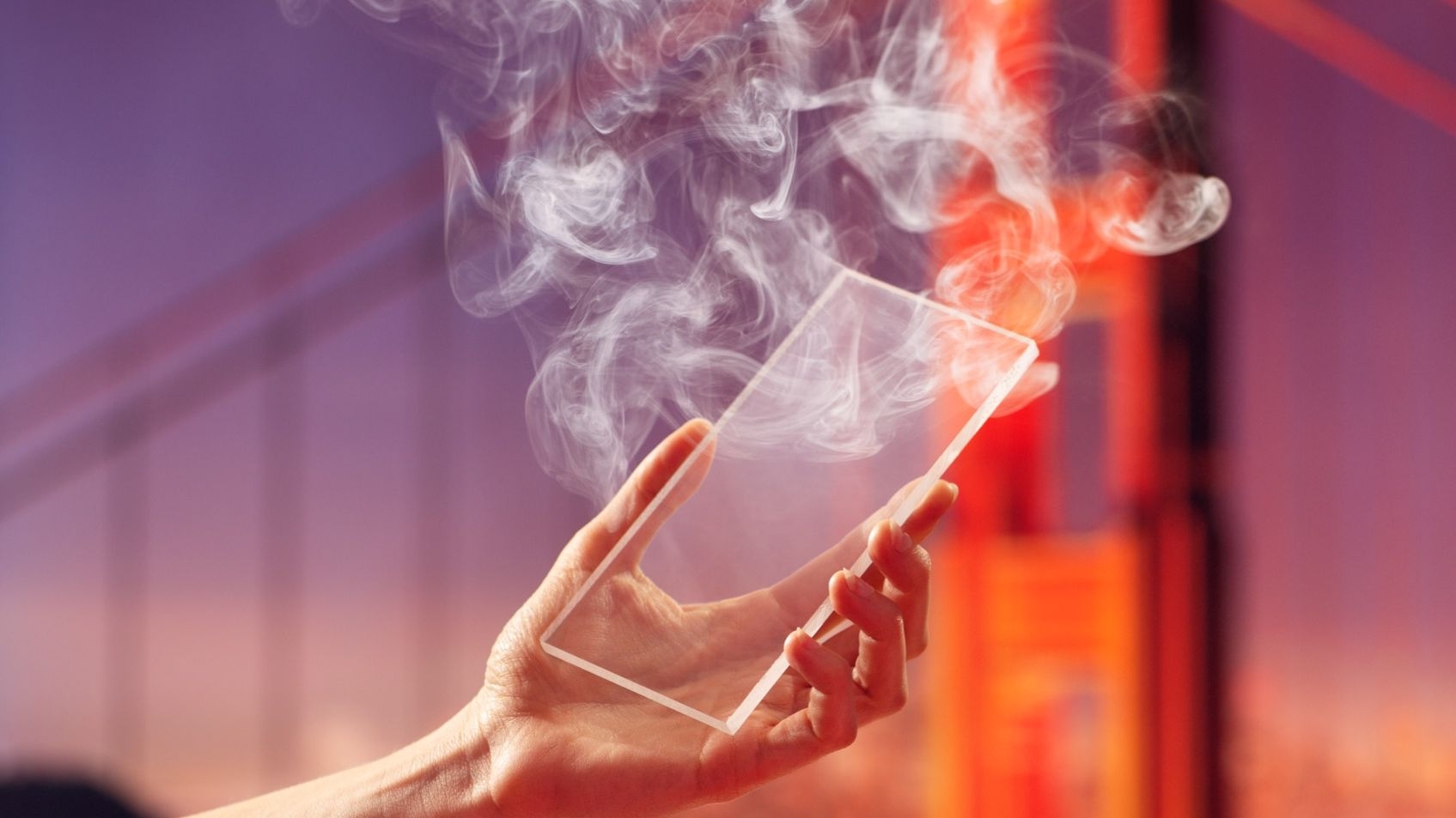 Out There By Kate Folk The New Yorker