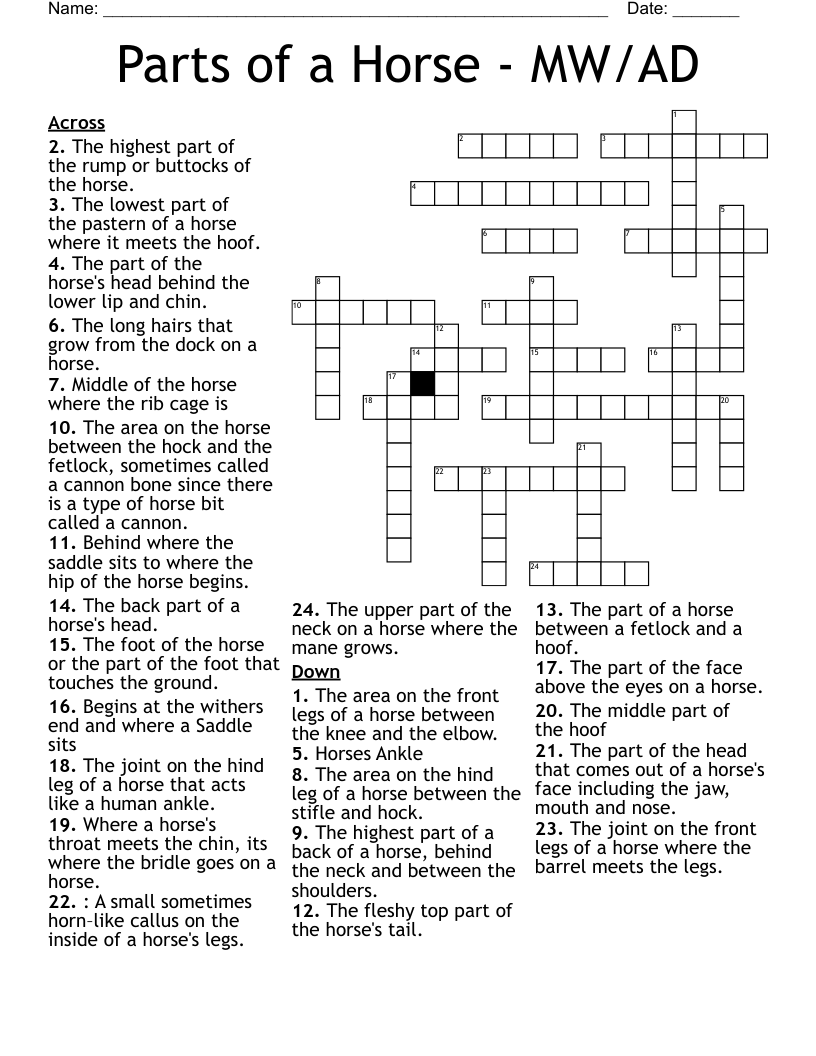 Parts Of A Horse MW AD Crossword WordMint