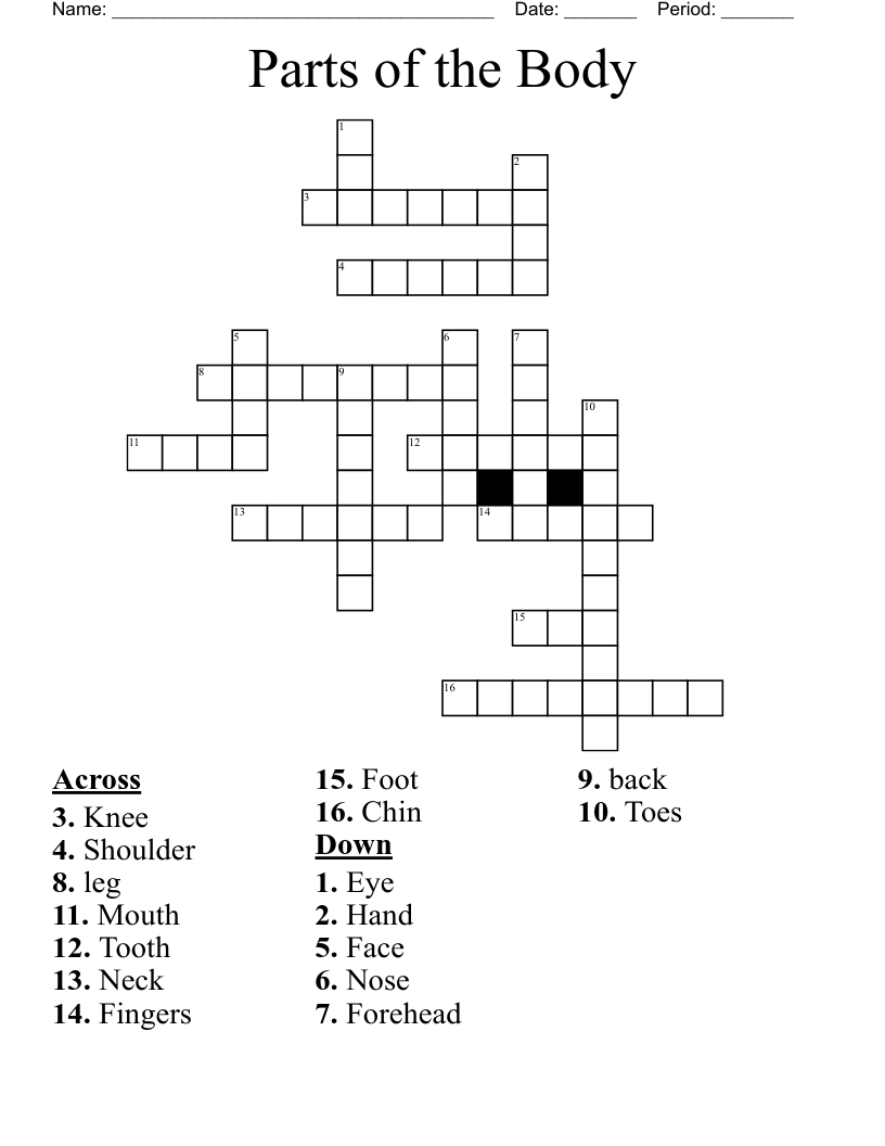 Parts Of The Body Crossword WordMint