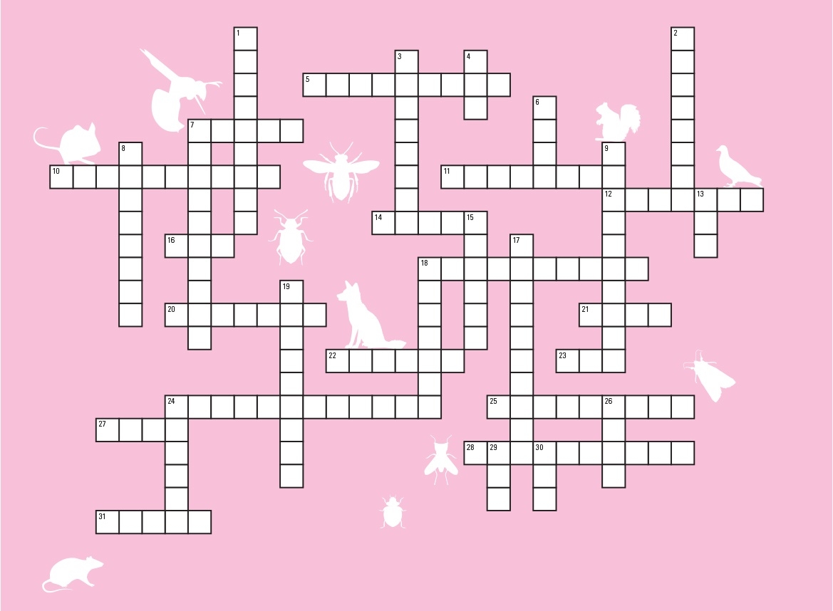 attack crossword puzzle clue attack crossword puzzle clue