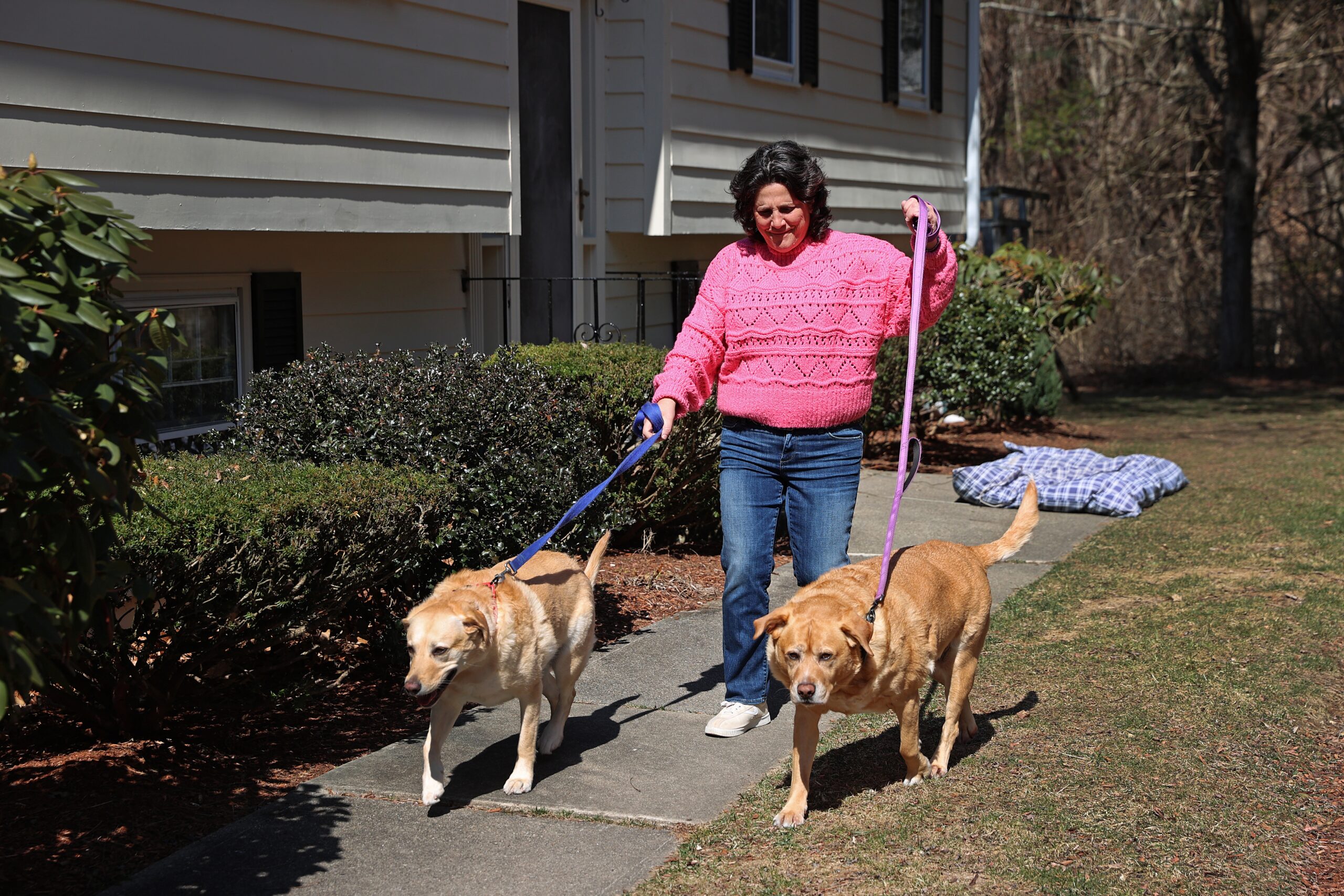 Pet Pantries Across The State Are Making A Difference By Feeding Furry Friends The Boston Globe