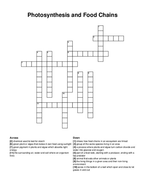 Photosynthesis And Food Chains Crossword Puzzle Photosynthesis And Food Chains Crossword Puzzle