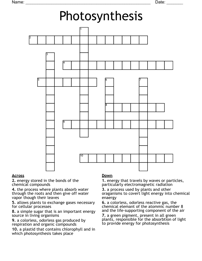 Photosynthesis Crossword WordMint