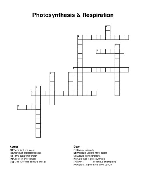Photosynthesis Respiration Crossword Puzzle Photosynthesis Respiration Crossword Puzzle