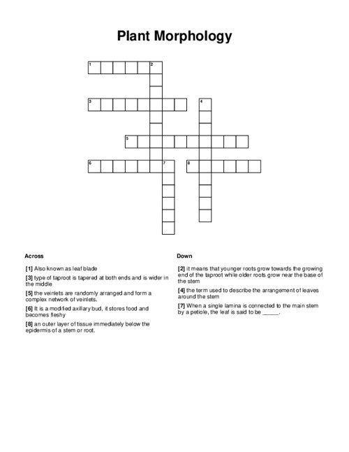 Plant Morphology Crossword Puzzle Plant Morphology Crossword Puzzle