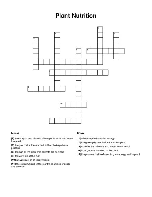 sports nutrition crossword puzzle answer key