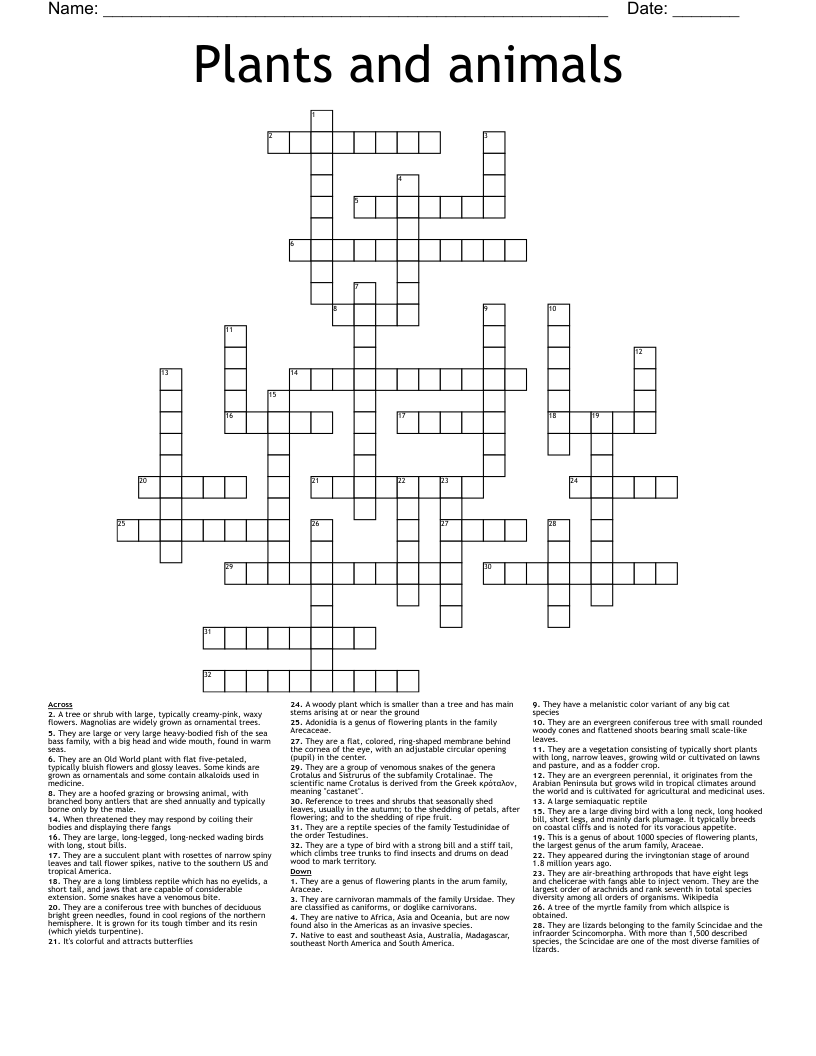 Plants And Animals Crossword WordMint