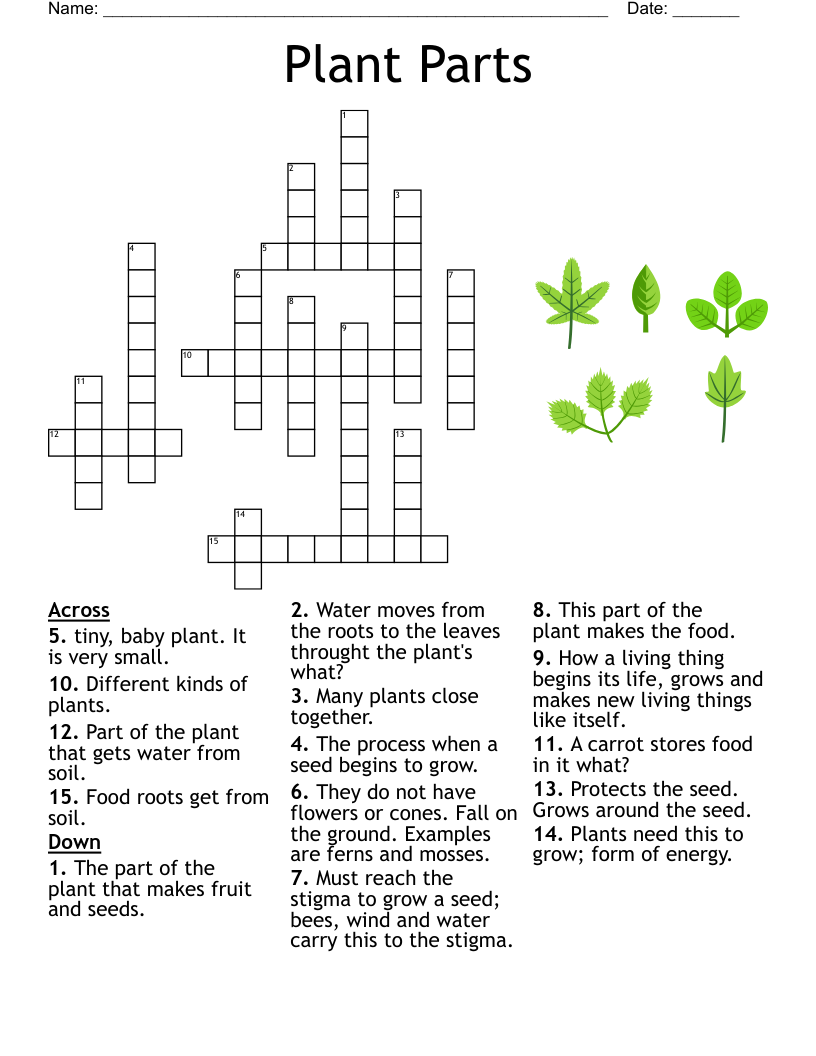 Poison Plants Crossword WordMint