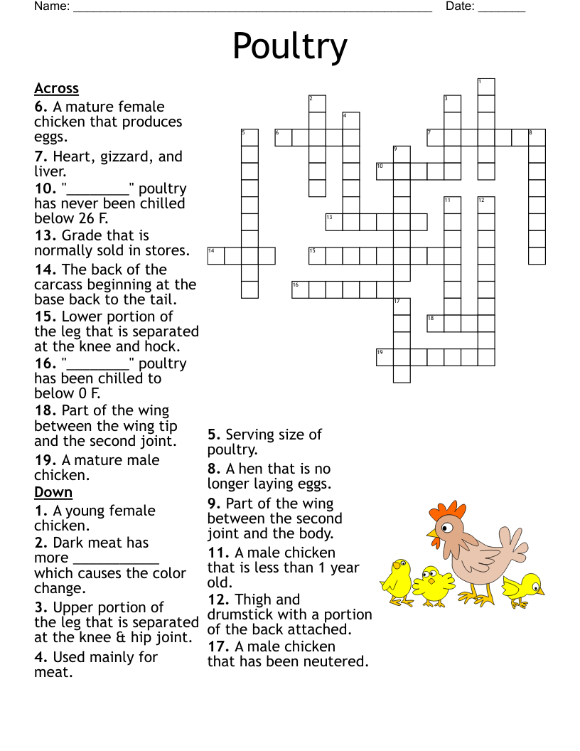 Poultry Crossword WordMint