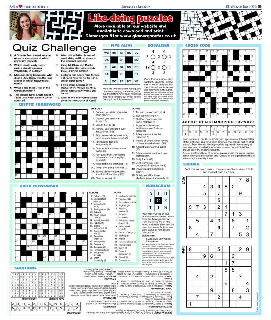 Puzzle Page Glamorgan Star Newspaper
