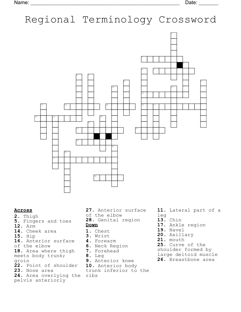 Regional Terminology Crossword WordMint Regional Terminology Crossword WordMint