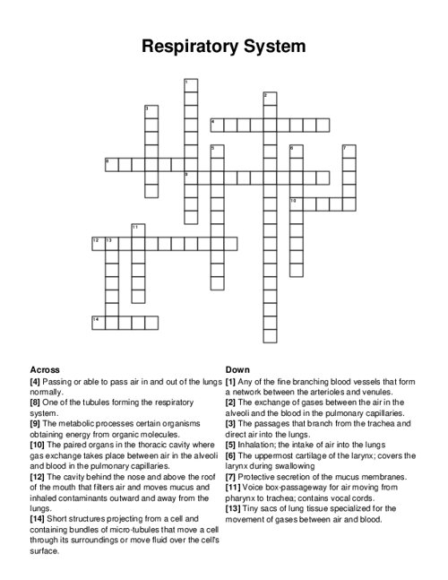 Respiratory System Crossword Puzzle