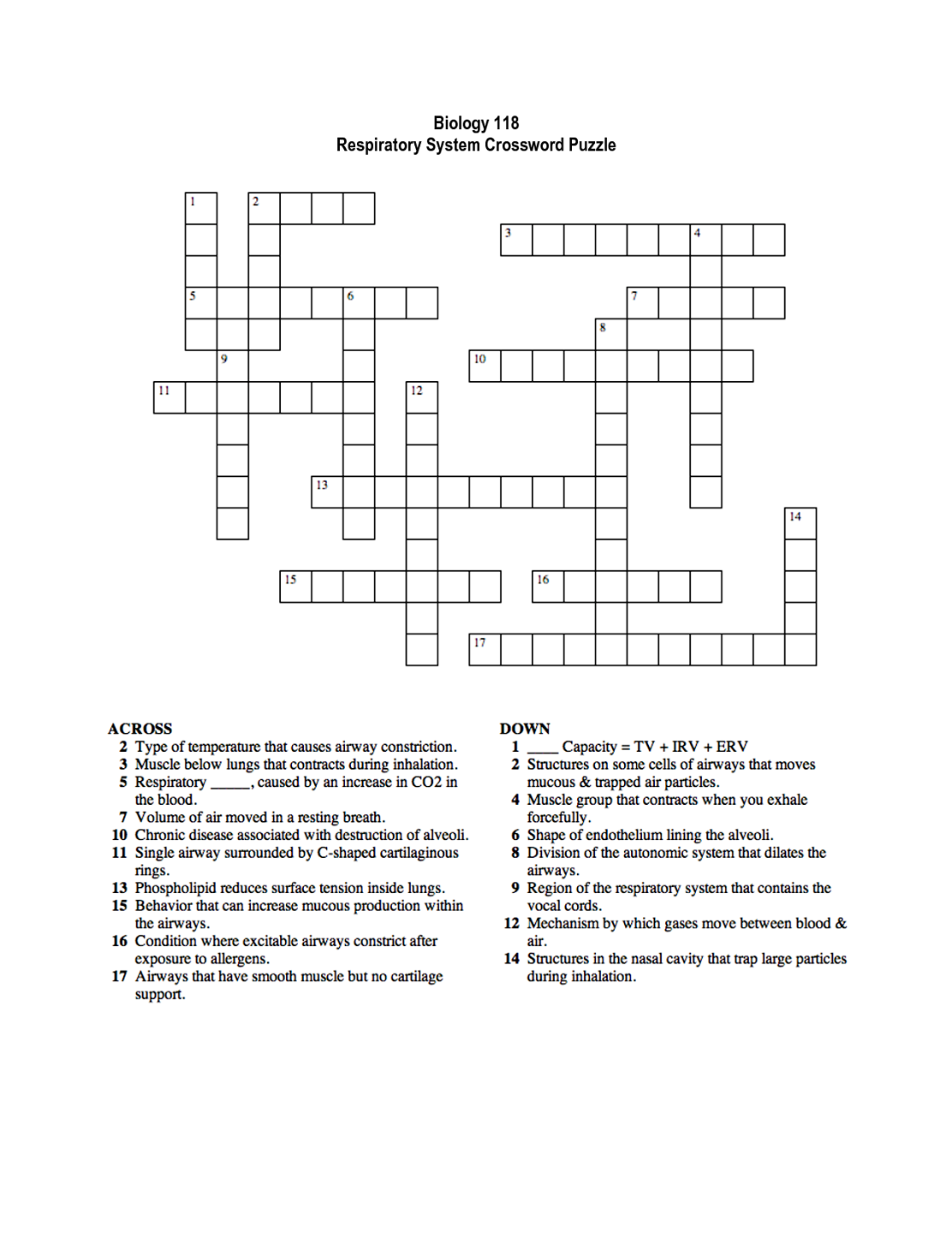 respiratory system crossword puzzle