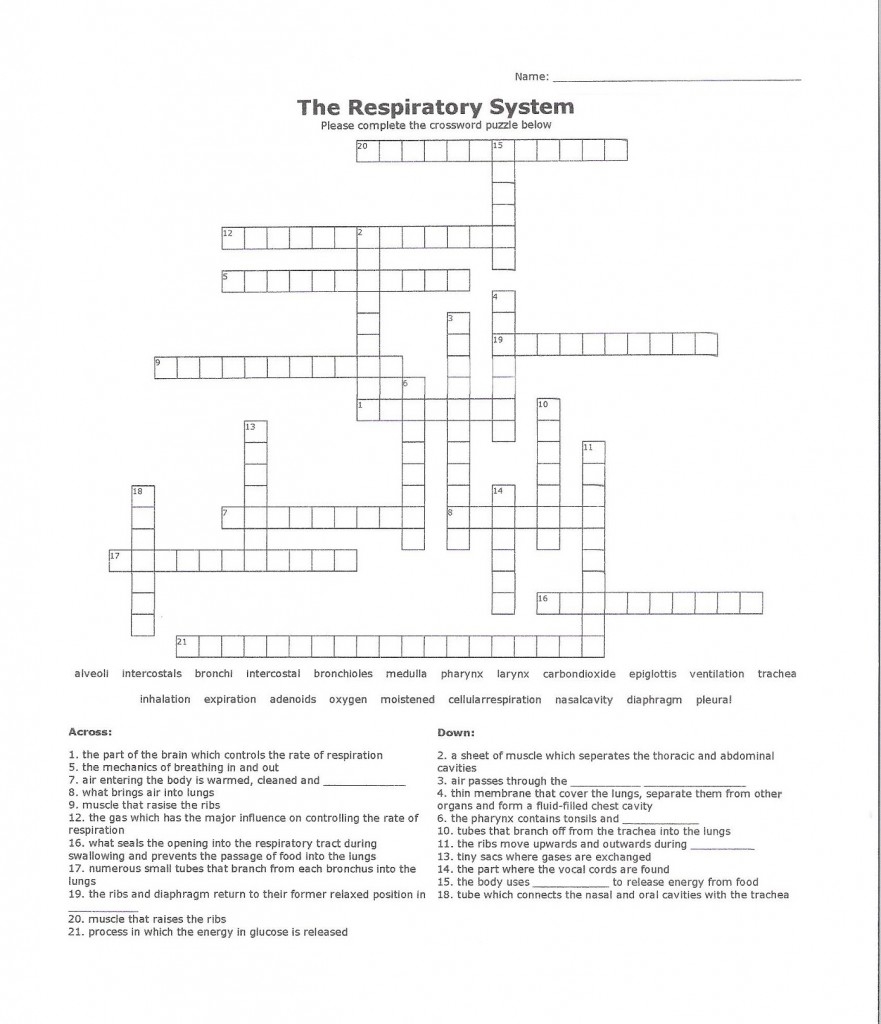respiratory crossword puzzle