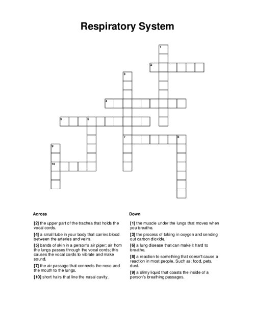 Respiratory System Crossword Puzzle Respiratory System Crossword Puzzle