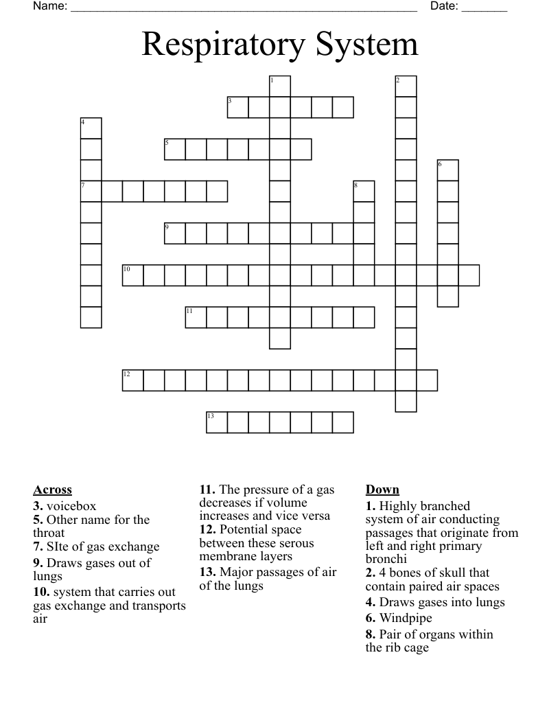 Respiratory System Crossword WordMint Respiratory System Crossword WordMint
