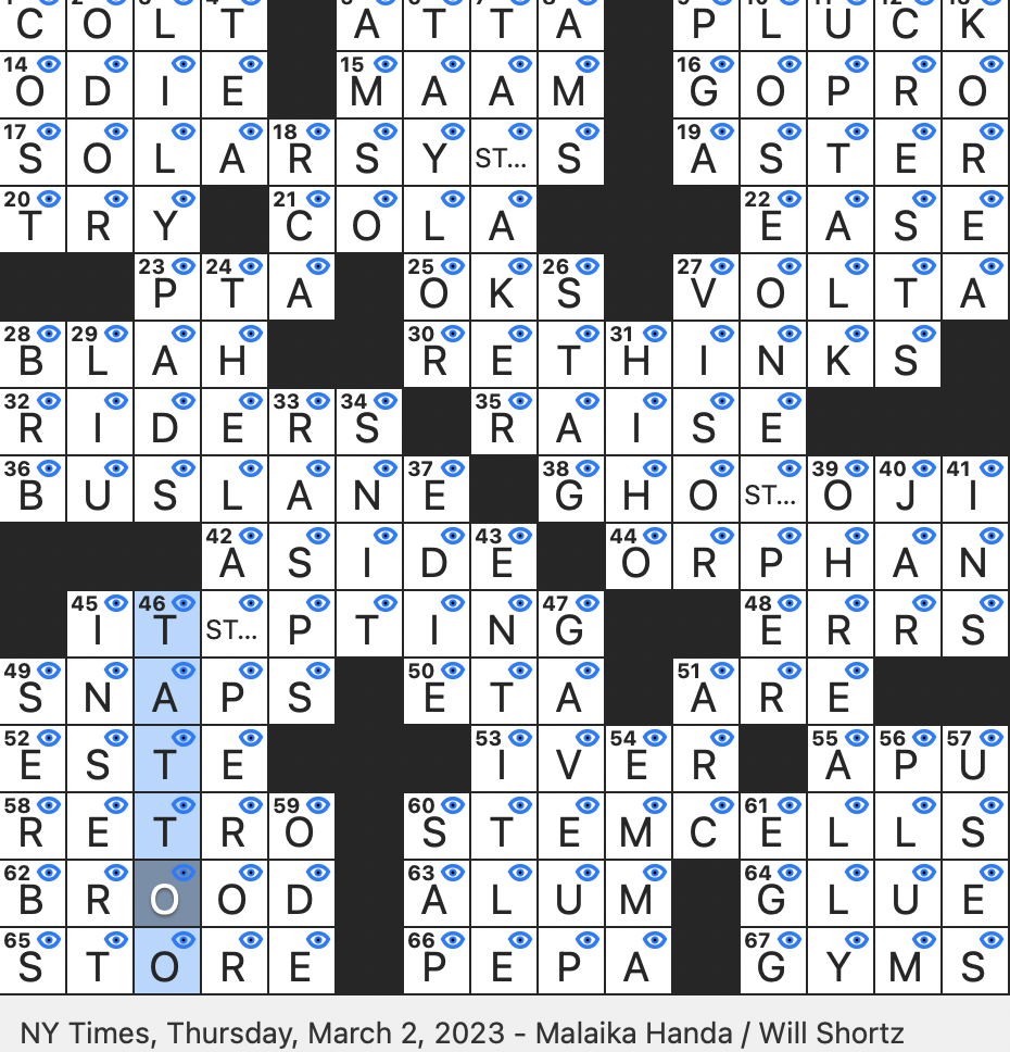 palindrome to believe in crossword