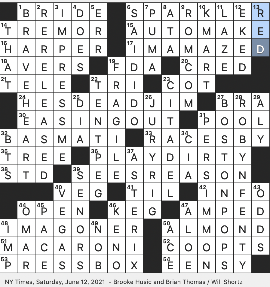 snappy dresser crossword snappy dresser crossword