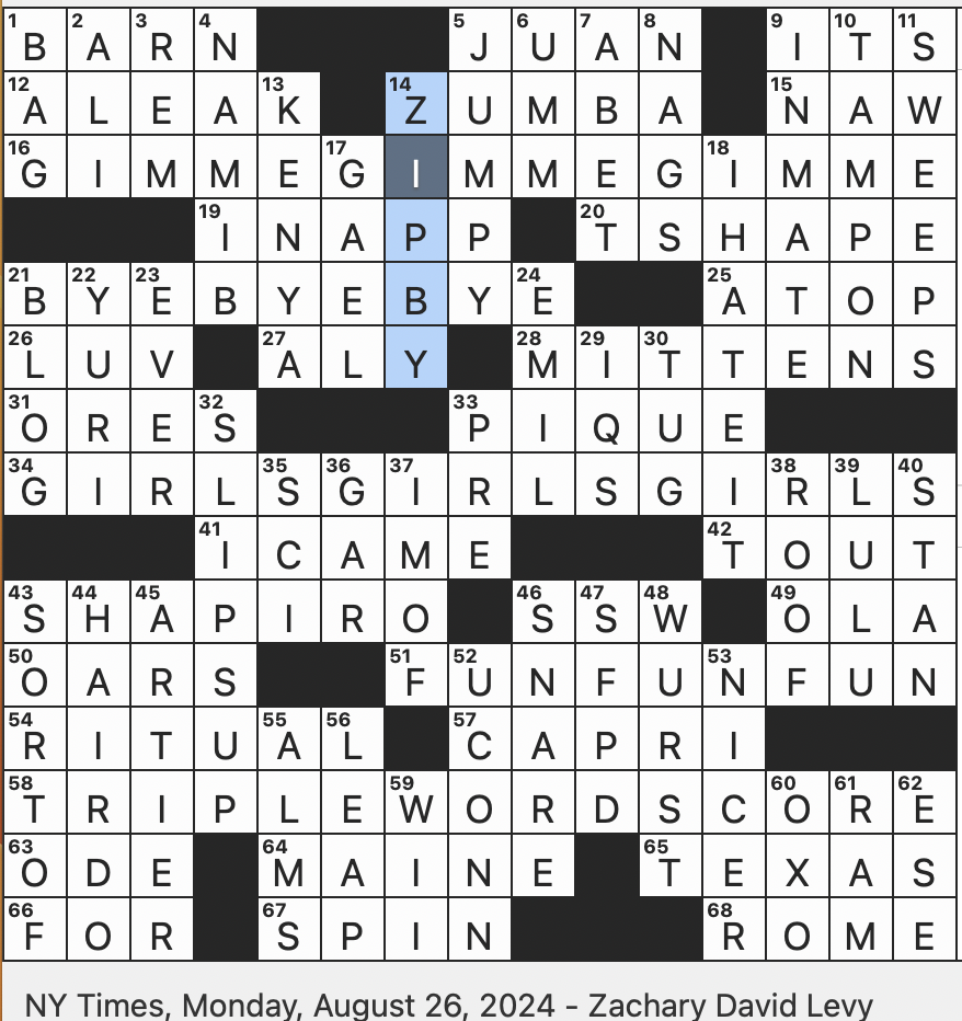 army shirt nyt crossword answers