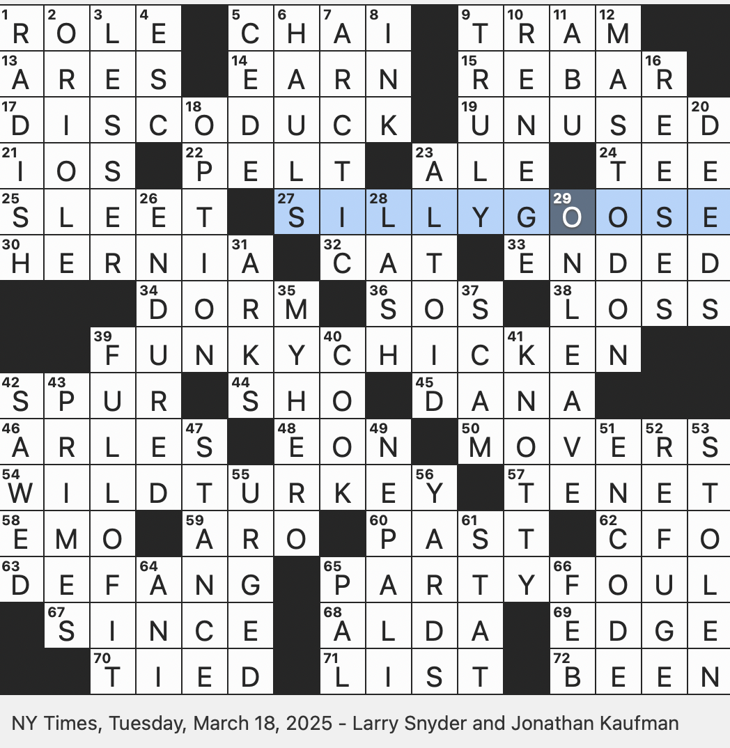 fancy party crossword clue