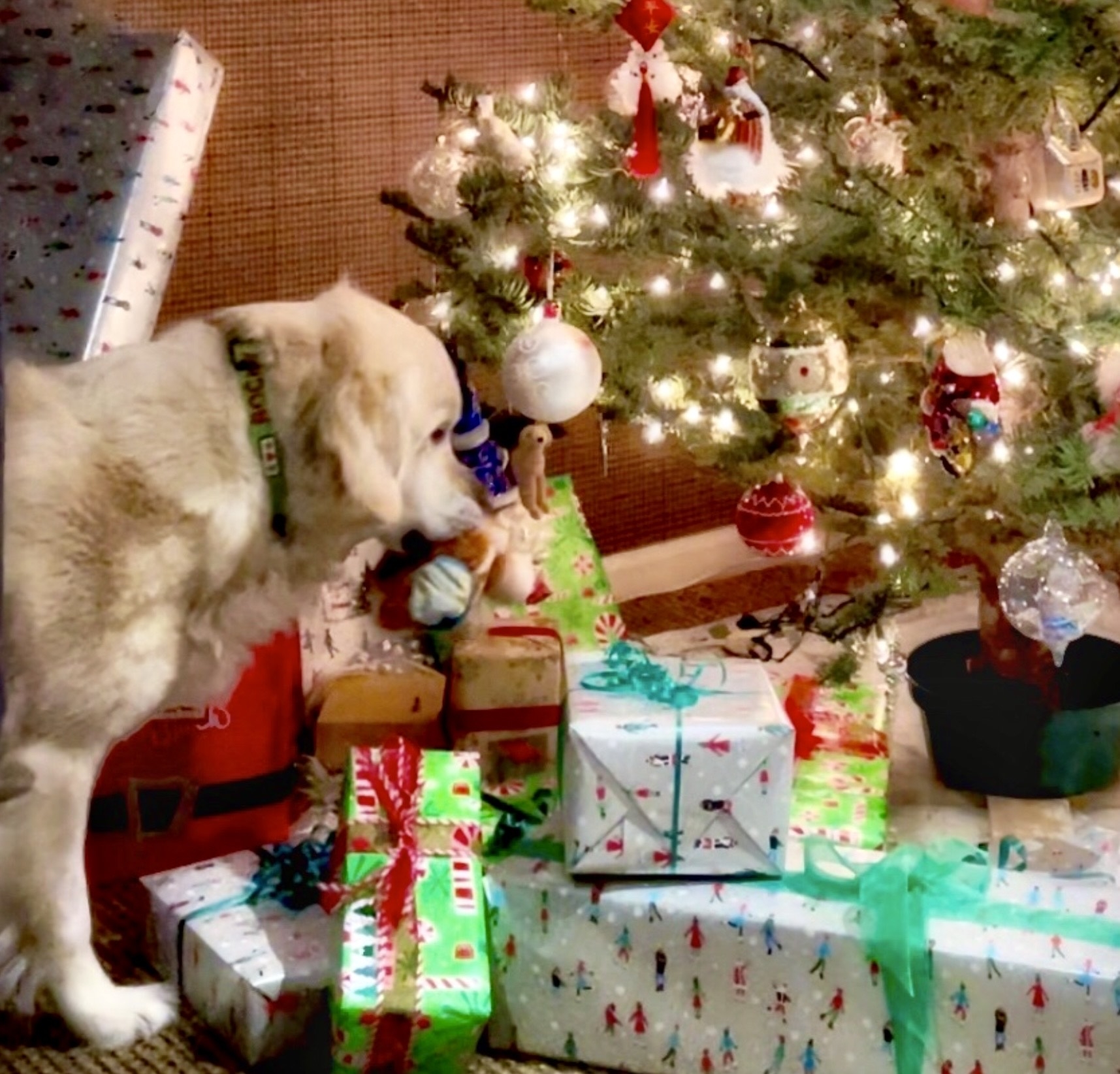 kylos father crossword clue kylos father crossword clue