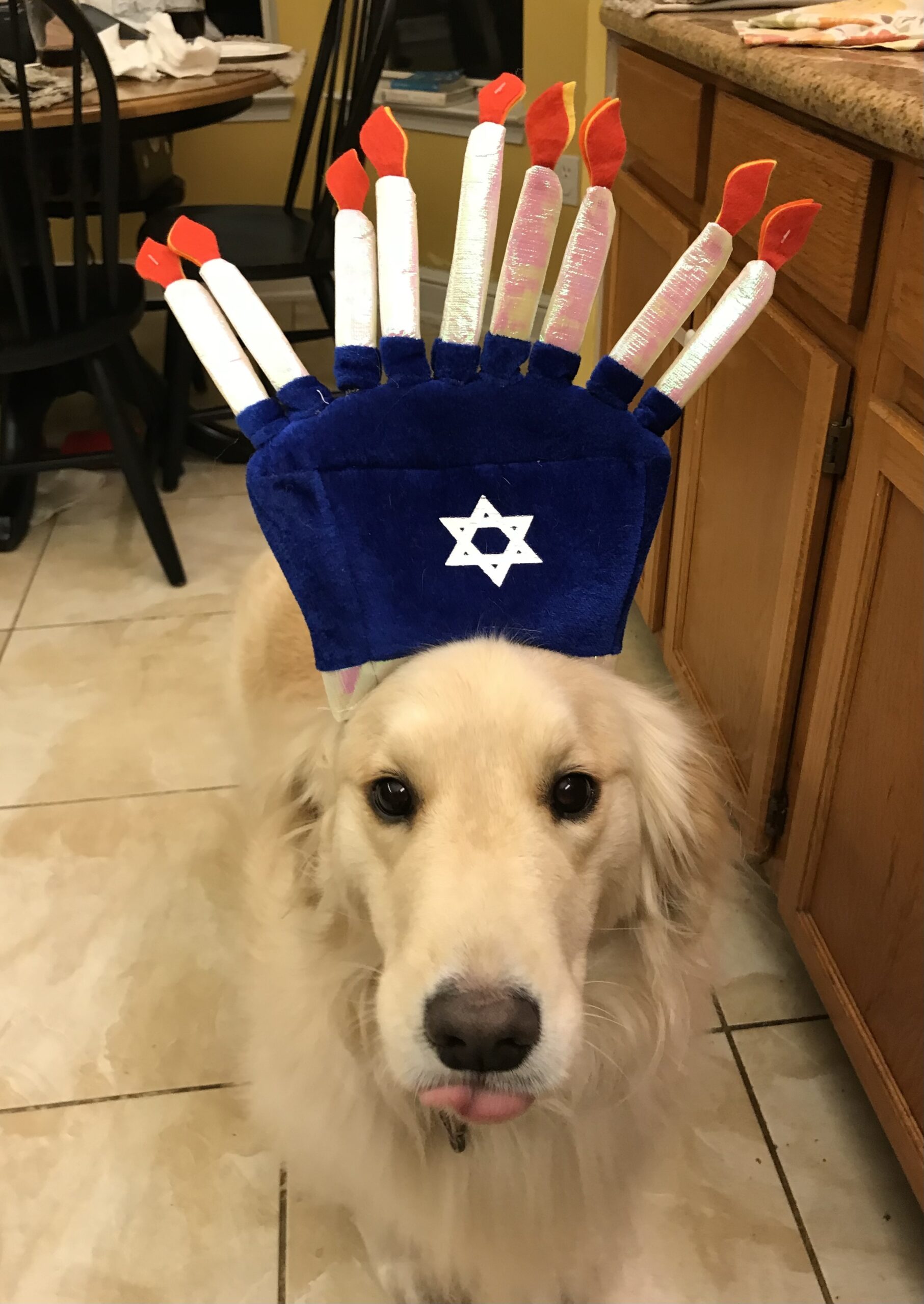 Rex Parker Does The NYT Crossword Puzzle Duino Elegies Poet FRI 12 12 25 Word From The Greek For folded Paper Hagfish Lookalikes Tropical Plants Said To Bring Good Fortune Rex Parker Does The NYT Crossword Puzzle Duino Elegies Poet FRI 12 12 25 Word From The Greek For folded Paper Hagfish Lookalikes Tropical Plants Said To Bring Good Fortune