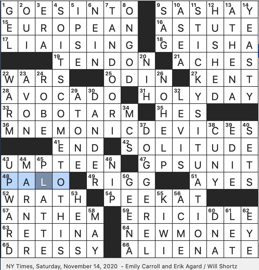 Rex Parker Does The NYT Crossword Puzzle Literally Art doer SAT 11 14 20 New Zealand Demonym 1960s It Girl Sedgwick