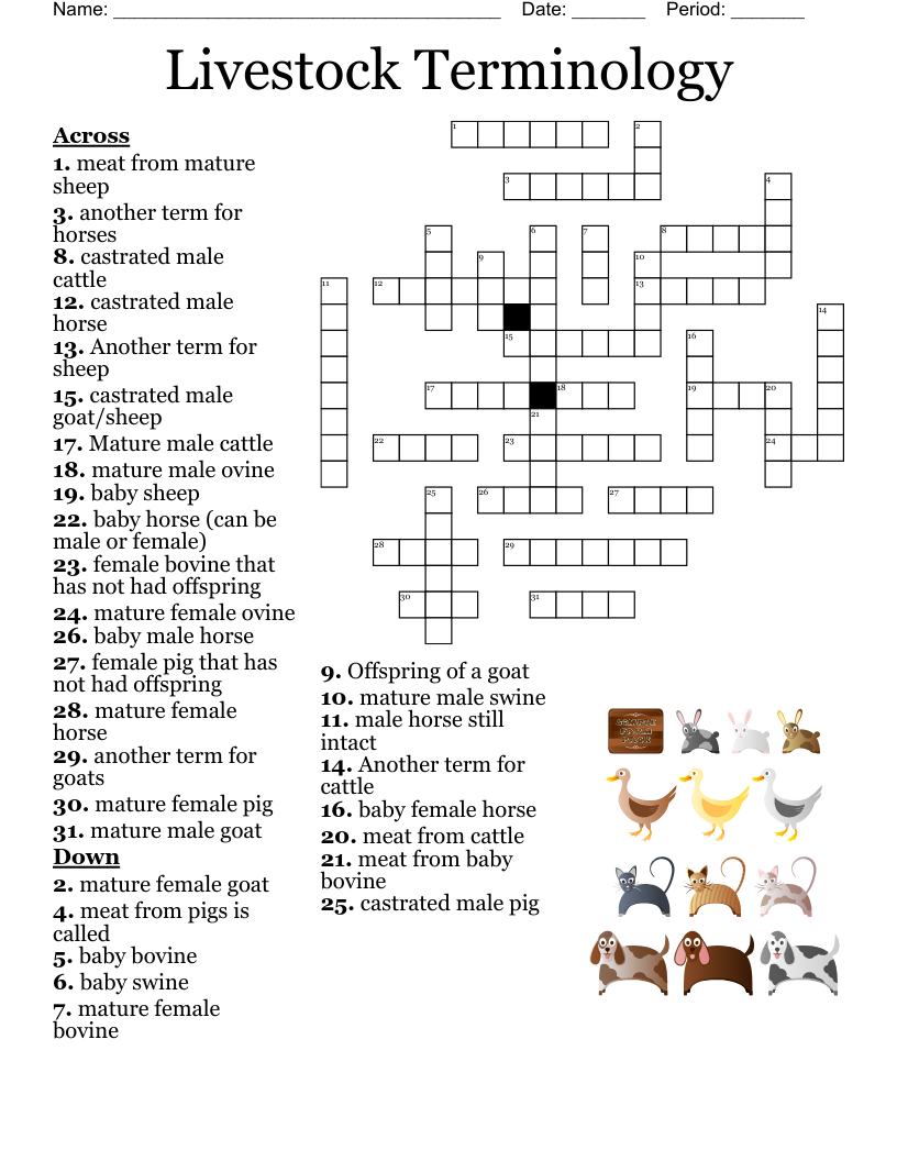 Rodeo Words Crossword WordMint Rodeo Words Crossword WordMint