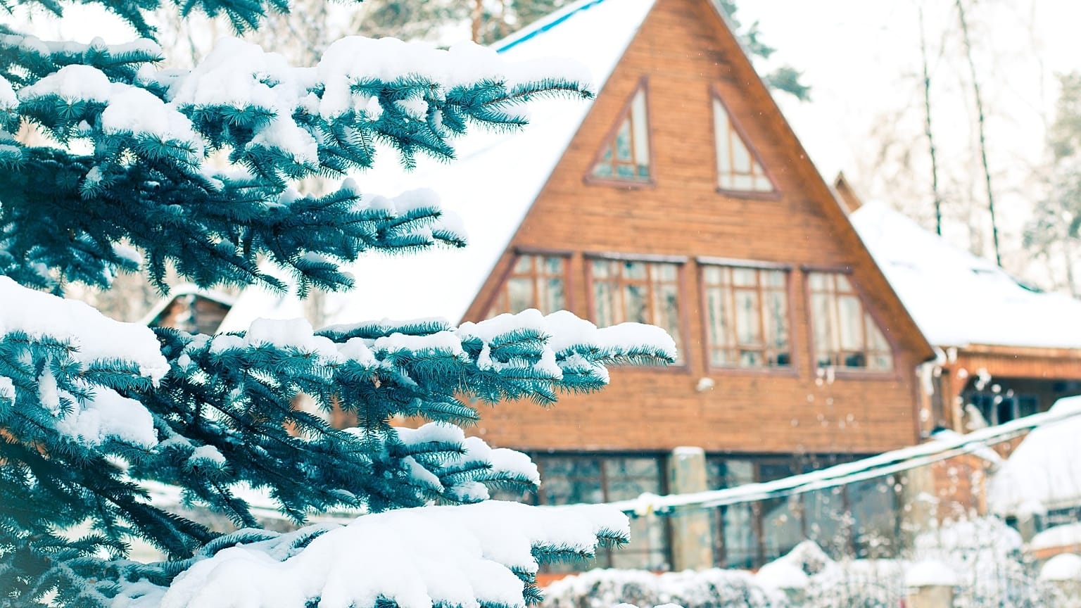 Russian Dachas How The Humble Summer Cottage Became An Institution Euronews