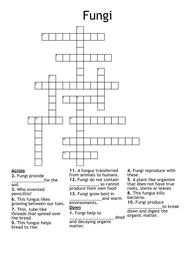 Rye Fungus Crossword Clue 5 Letters Letters