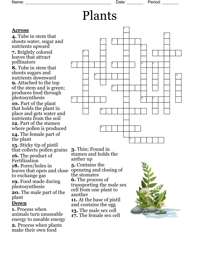 Salads And Salad Dressings Crossword WordMint