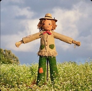 Scarecrow Get Answers For One Clue Crossword Now
