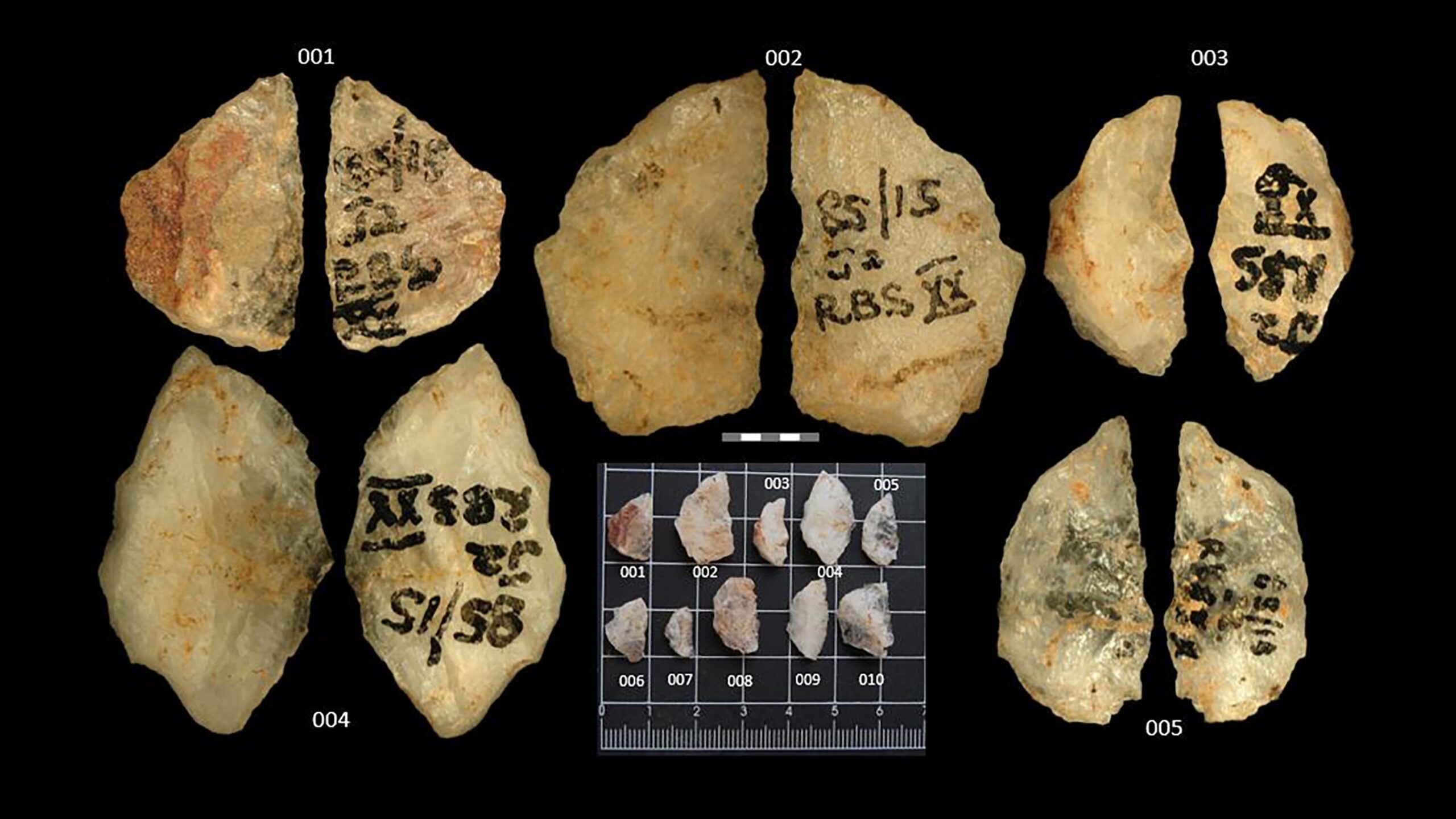 Scientists Discover Oldest Poison On 60 000 Year Old Arrows The New York Times