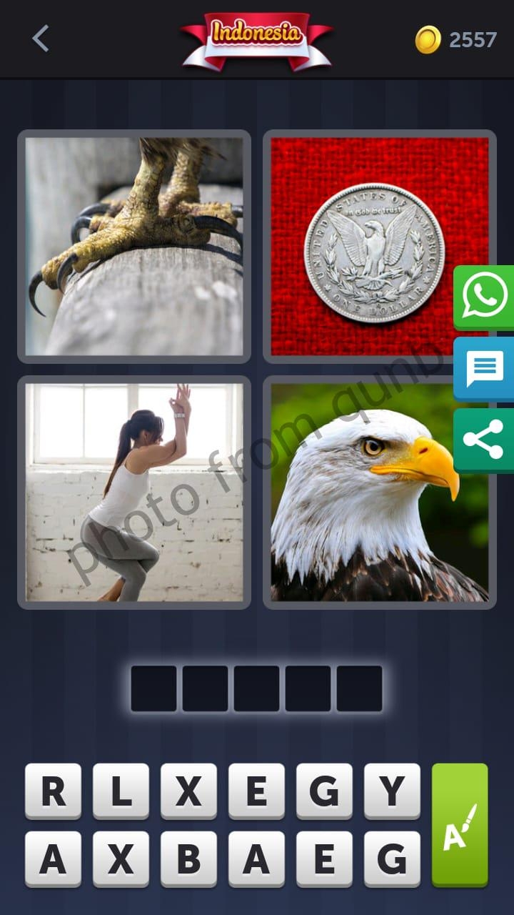 Sea Eagle Crossword Clue 4 Letters