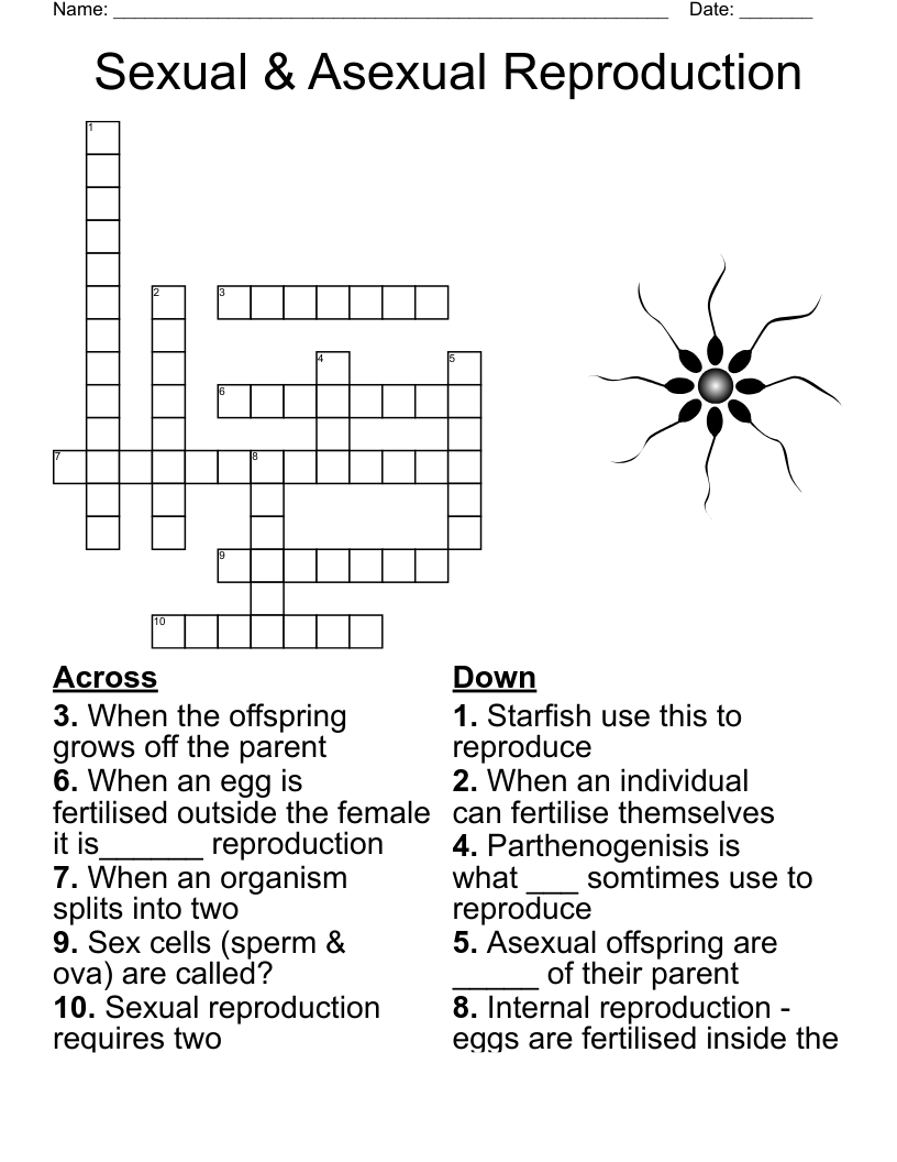 Sexual Asexual Reproduction Crossword WordMint